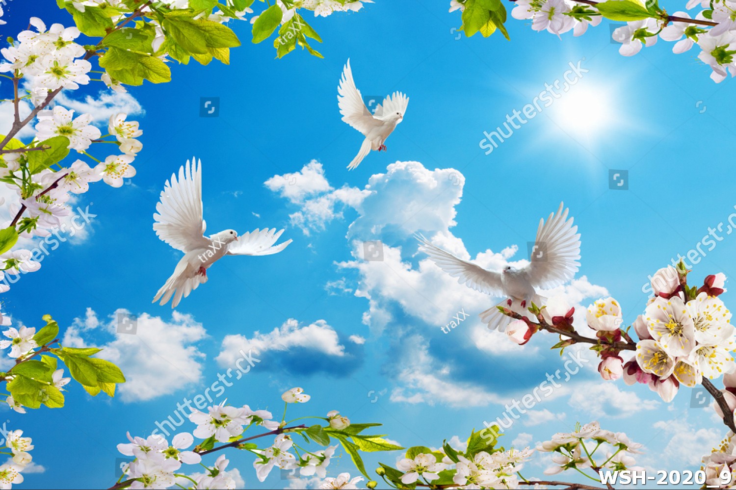 Dán trần trời xanh và hoa WSH-2020_9